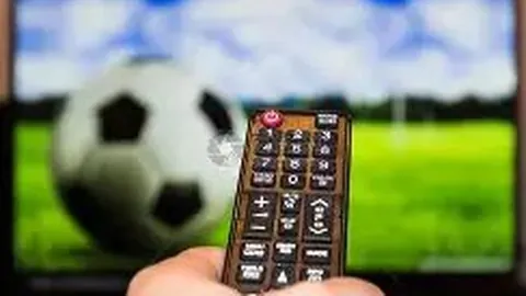 立博体育 资讯 130646 vbw