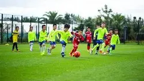 立博体育 资讯 131109 pe8