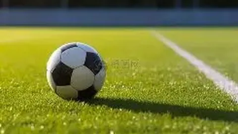 2025年，中国路跑赛事达749场，参与人数冲破704万大关