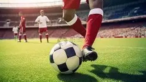 篮球盛宴：国王对决灰熊，揭秘让分战局精彩解析！